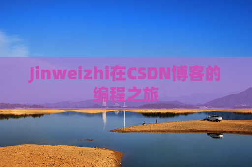Jinweizhi在CSDN博客的编程之旅